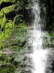 SX14744 Waterfall in Nant Bwrefwr river.jpg